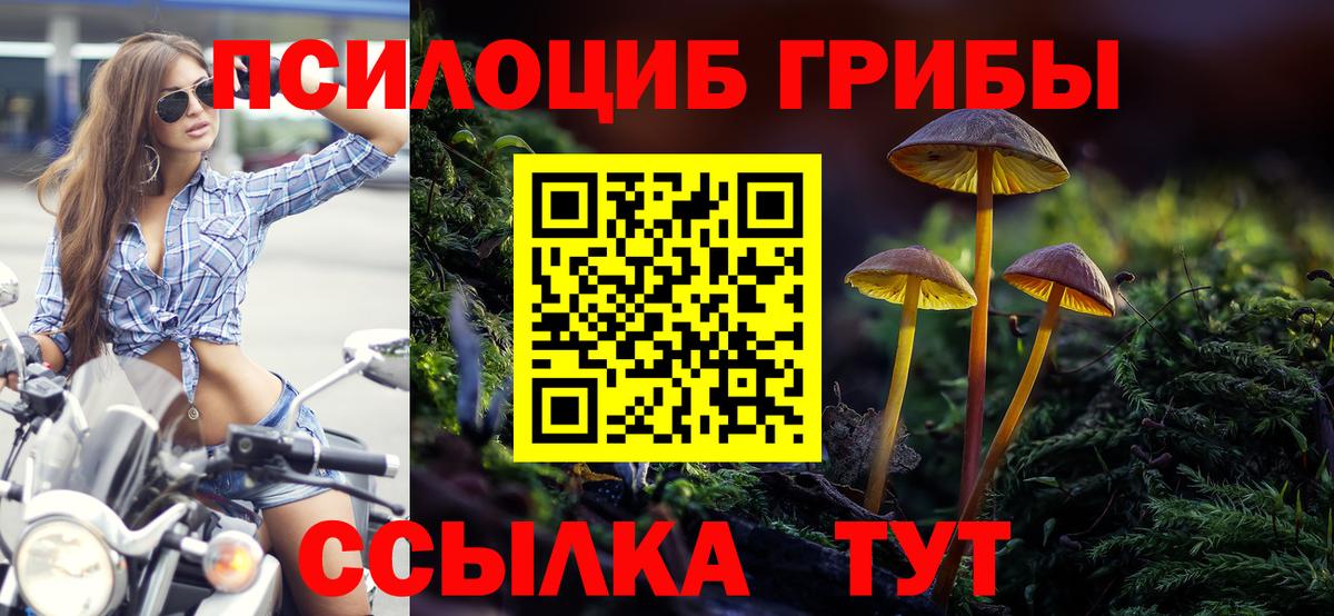 Ижевск  Галлюциногенные грибы ЛСД  Галлюциногенные грибы GOLDEN TEACHER  Вход с VPN 