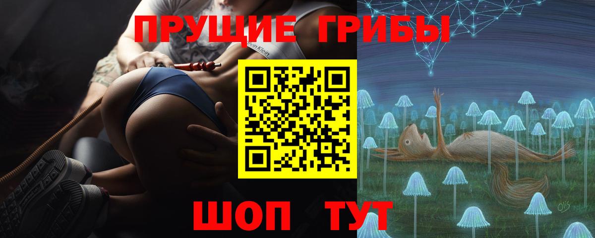 Псилоцибиновые грибы GOLDEN TEACHER Ижевск